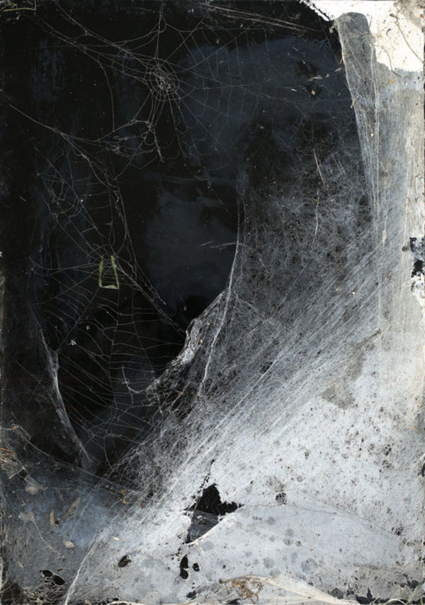 Christian Eisenberger, Ohne Titel (aus der Serie Spinnwebenbilder), 2014