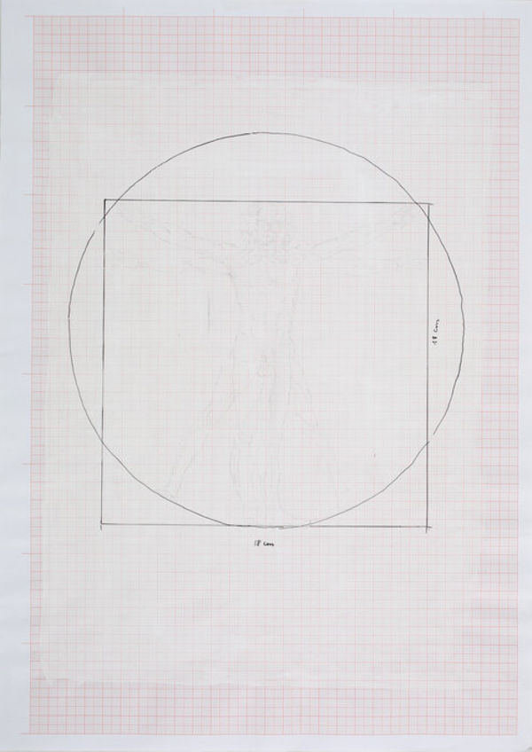 Rosmarie Lukasser, Rosmarie Lukasser, Manuskript Informationsfilter (C & P da Vinci), 2013