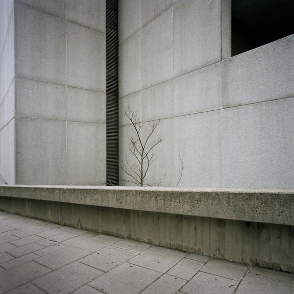 Ali Taptik , Untitled (from Serie: Cover), 2010